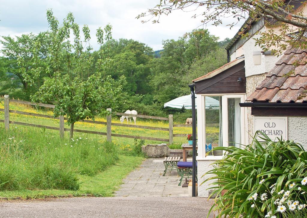Old Orchard Cottage Colyton Экстерьер фото